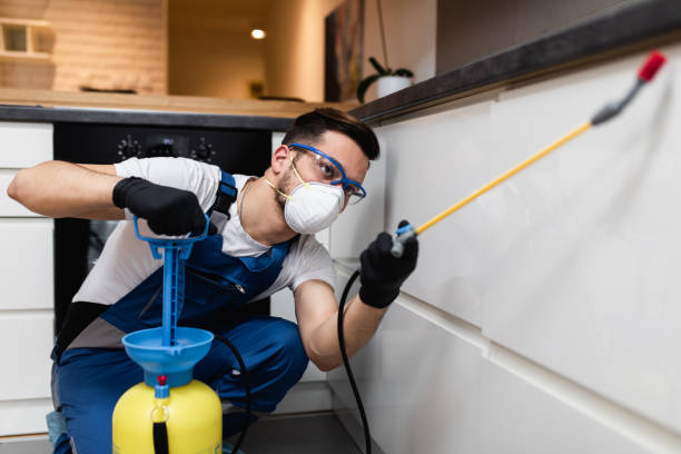 Best Termite Control Services  in Decatur, IN