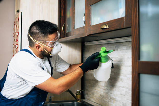 Trusted Decatur, IN Pest Control Experts